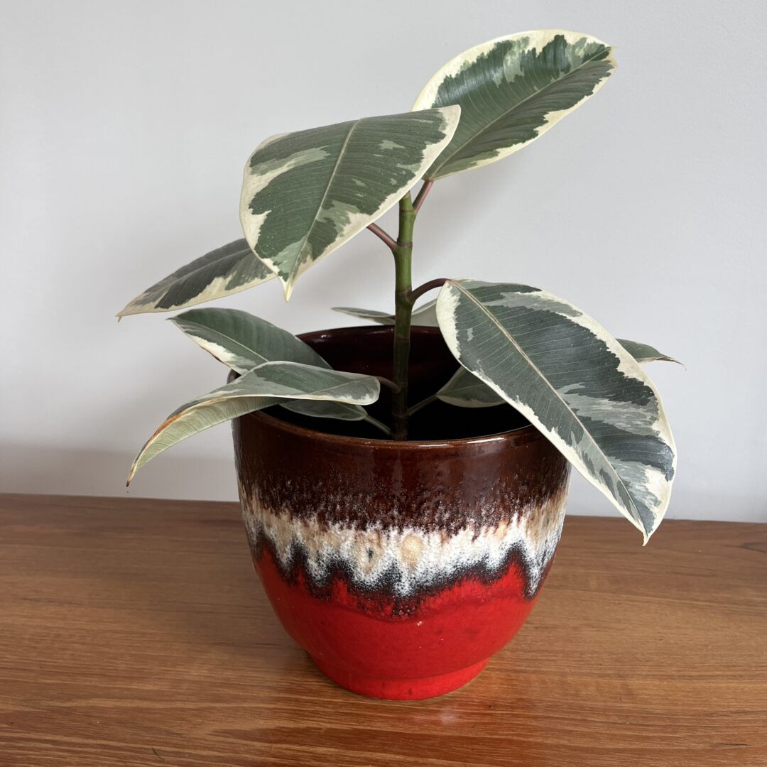 Fat lava flowerpot, West Germany – Bay Keramik