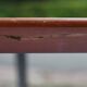 Table ovale style industriel D.Pro