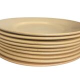 Digoin flat plate set