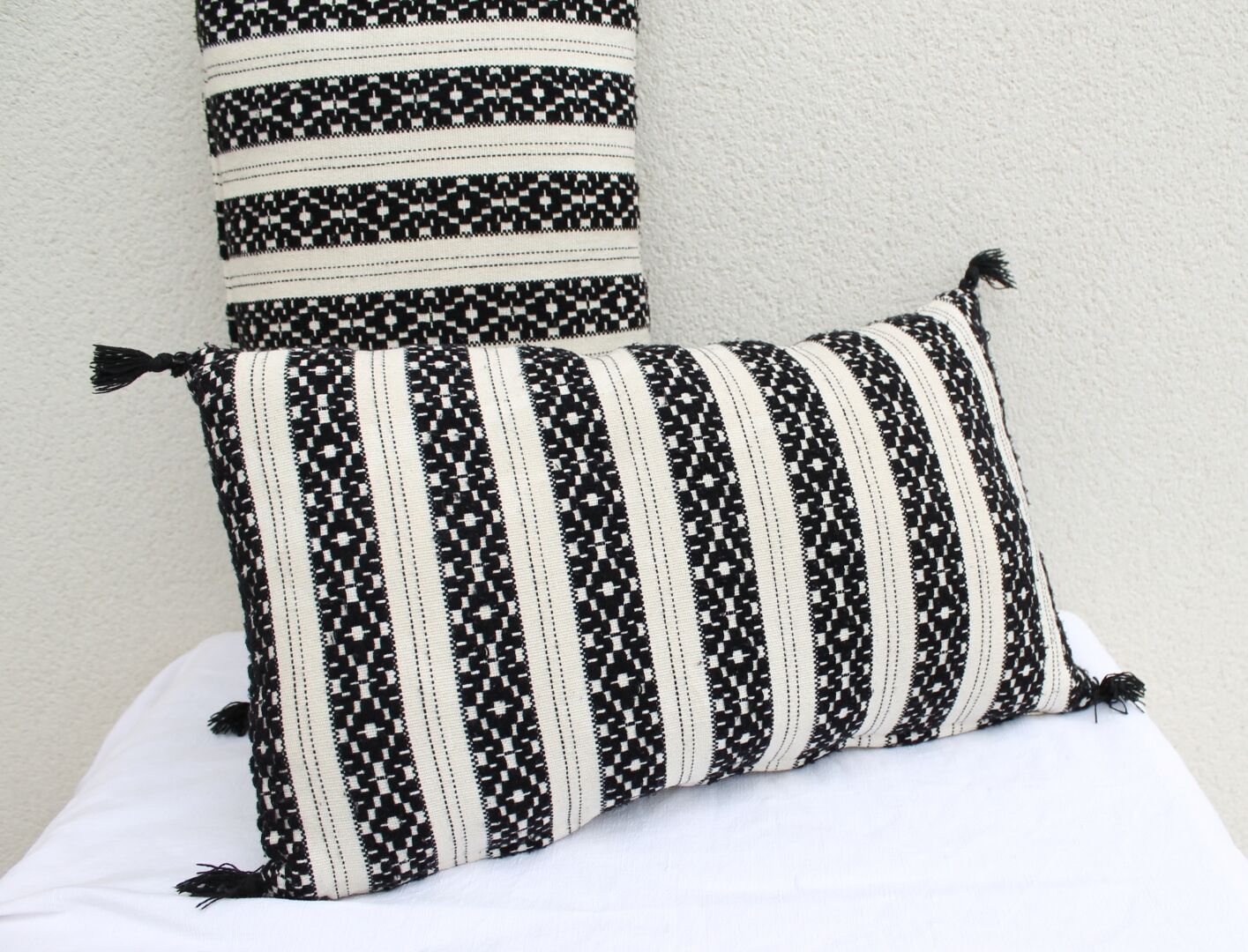 Set of 2 rectangular cushions