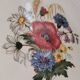 Sarreguemines Flat Plates: Summer