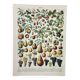 Old engraving 1898, Fruits (from our regions), varieties • Lithograph, Original plate