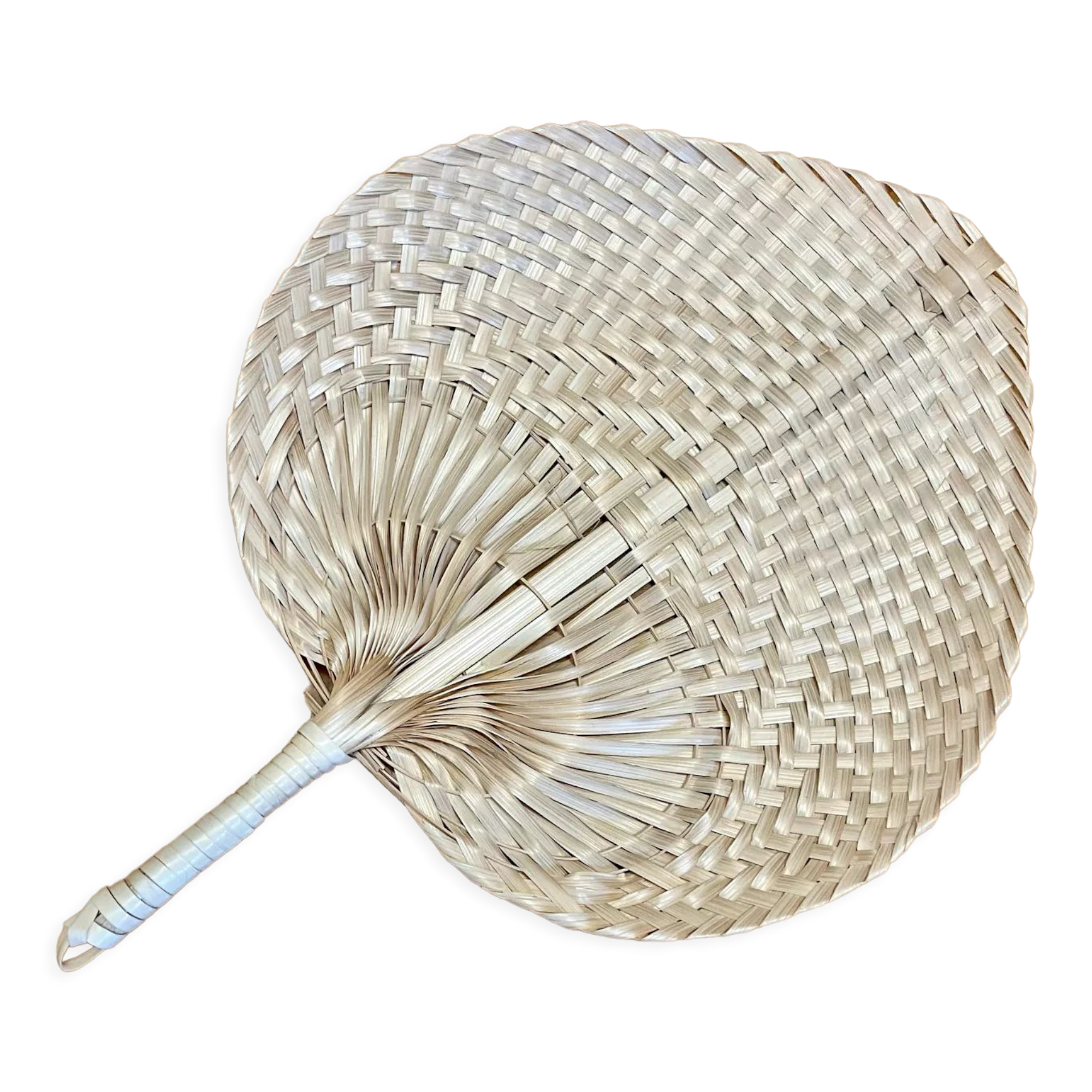 Feuille de palmier tressée forme éventail