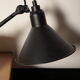 Gras sconce 213