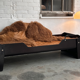 Bed/daybed by Jules Wabbes with Carine Boxy upholstery