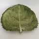 Plat barbotine, feuille de chou
