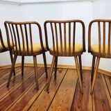 Dining Chairs attributed to A. Suman for Tatra Nabytok, Czechoslovakia, 196