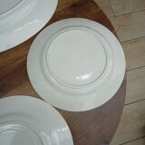 Lot 1 large oval dish and 3 bird plates Green background