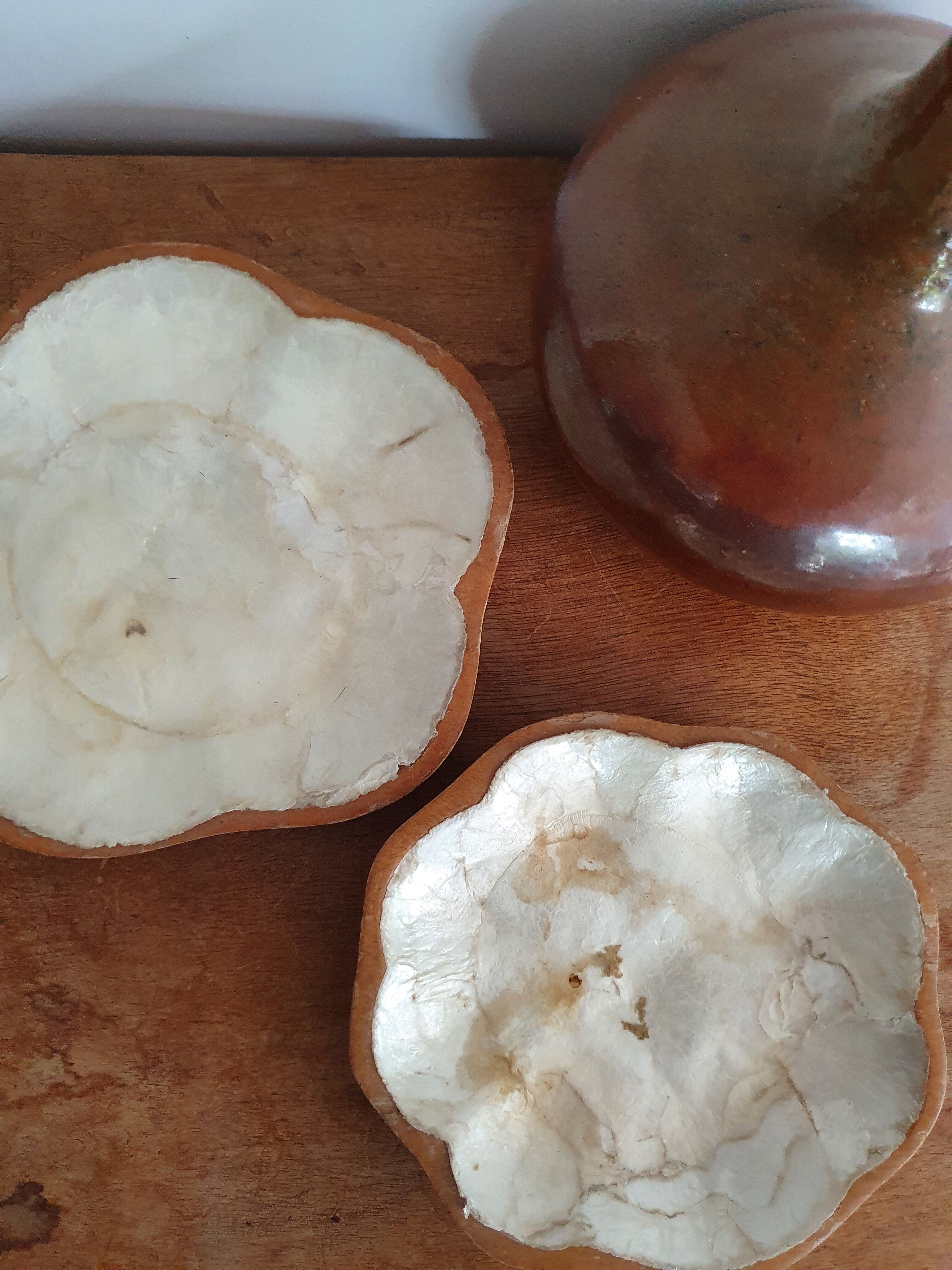 Empty wooden and mother-of-pearl pocket