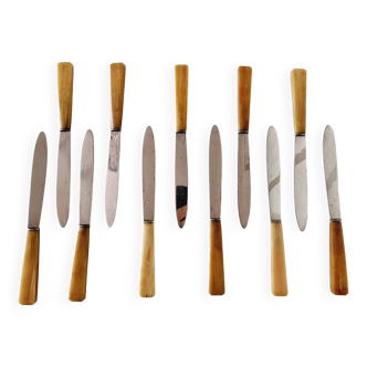 12 antique knives with edgeless resin handle and stainless steel metal