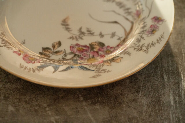 4 Dessert plates country décor birds and mosquitoes