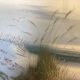 Seaside dashboard, dune.