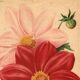 Botanical Engraving 1911 - Monochrome Dahlias by J. Guillot - Garden Flowers