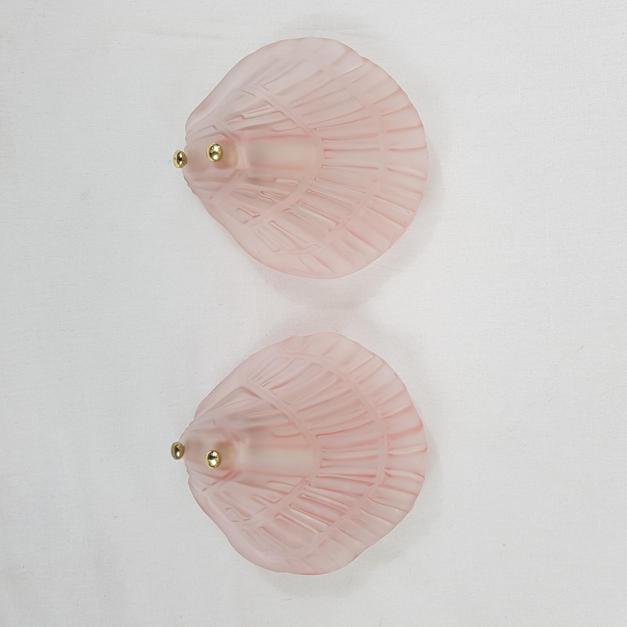 Pair of sconces shell pressed glass sand and Golden steel 1970
