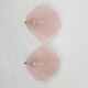 Pair of sconces shell pressed glass sand and Golden steel 1970