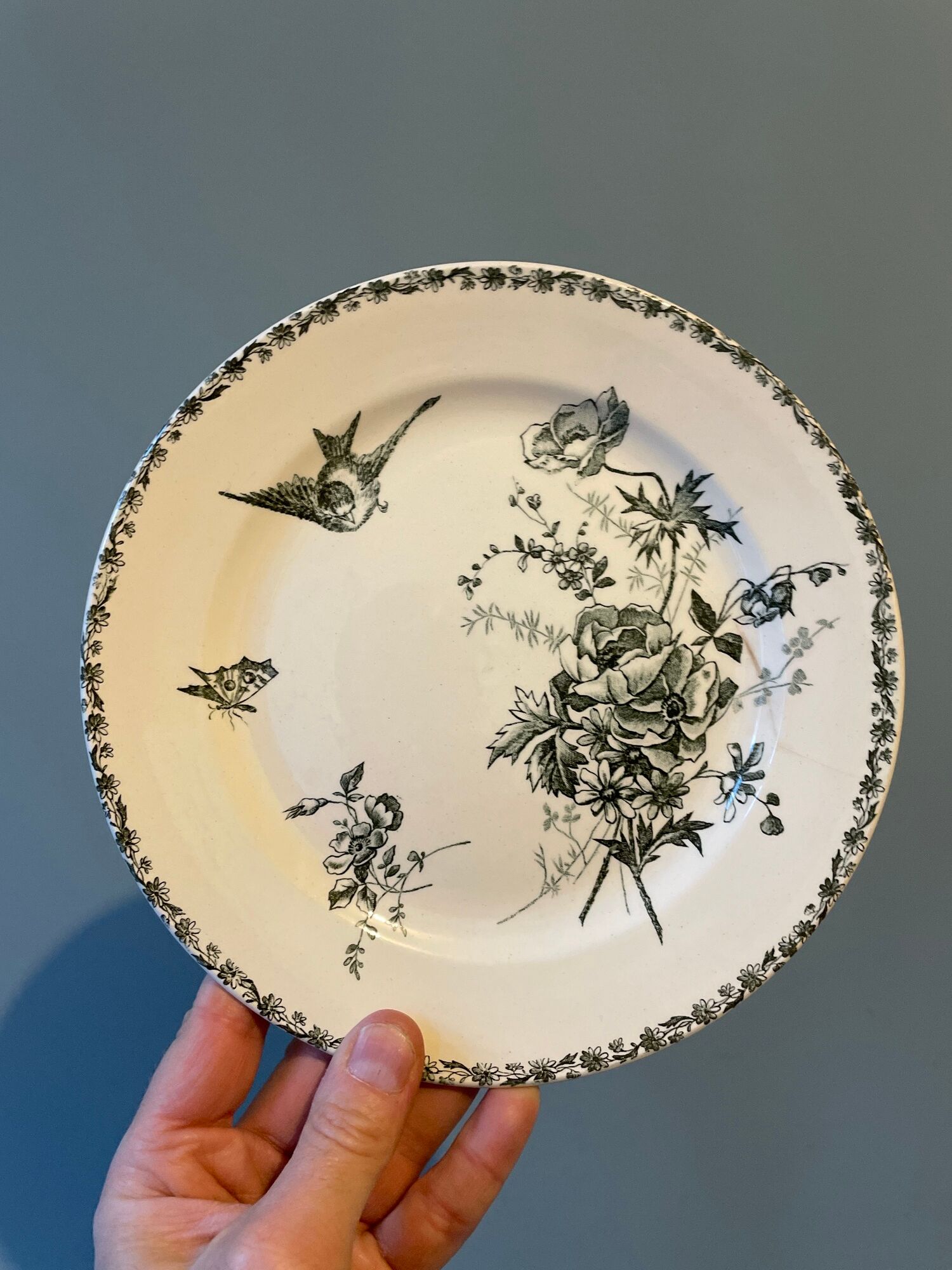 Set of 12 Terre de Fer dessert plates Grand Dépôt E.Bourgeois
