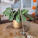 Eileen Gray lamp for Jumo, 1950s-60s