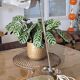 Eileen Gray lamp for Jumo, 1950s-60s