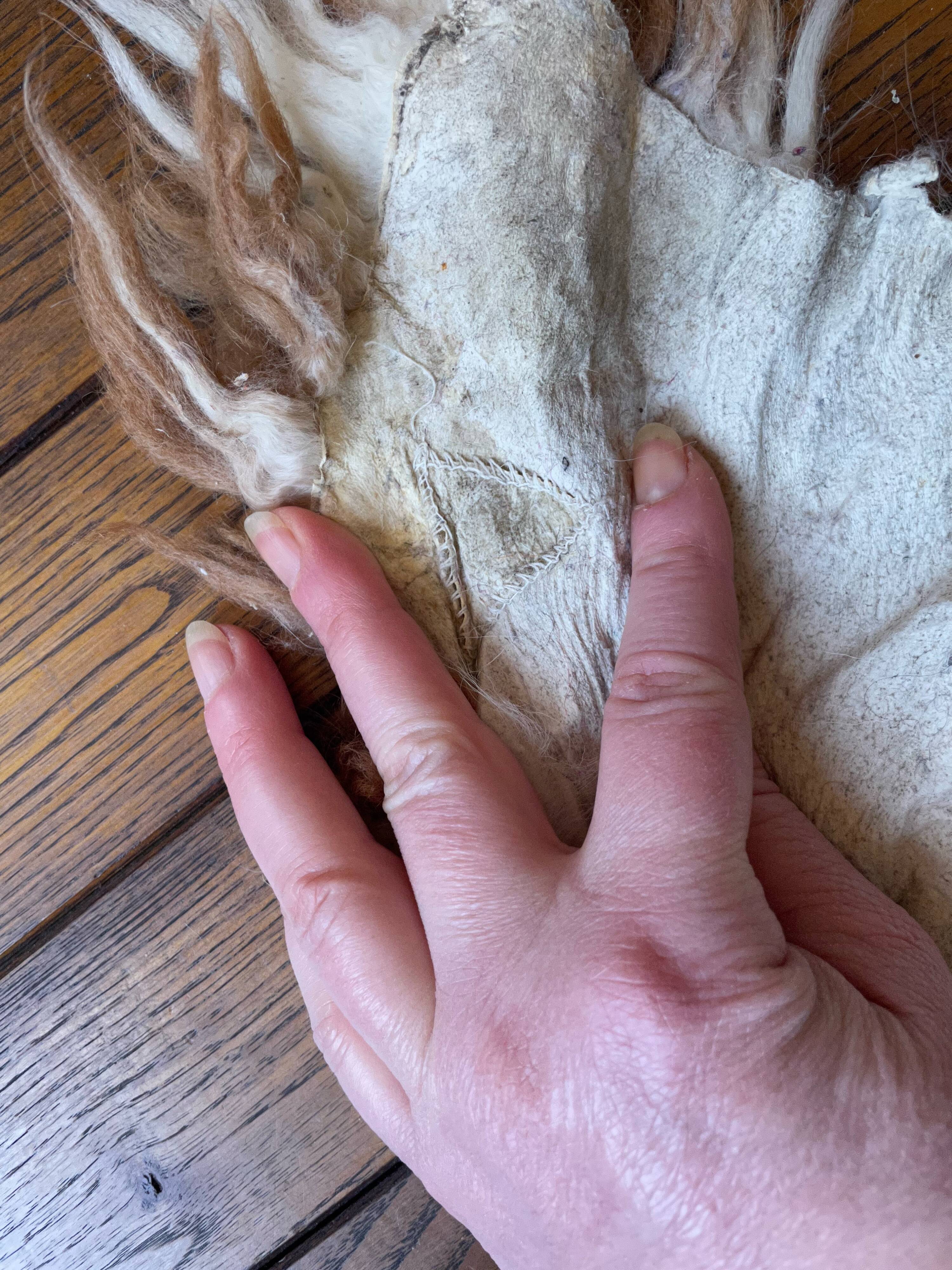 Small sheepskin, raw, brown and beige, authentic