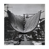 Photographie ancienne noir et blanc argentique début XXe