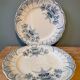 Set of 2 small plates XIXth Iron Earth Regency collection