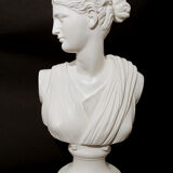 Large bust sculpture woman aphrodite platre white