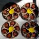 Set of 4 ceramic oyster plates from Vallauris serving dishes.
