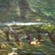HSP painting "Pastoral with lambs" by Petrus Marius Brouwer (1819/1886)