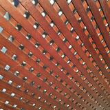 Beech screen