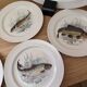 Fish service 7 pieces - 6 plates and 1 large dish - in porcelain from L.