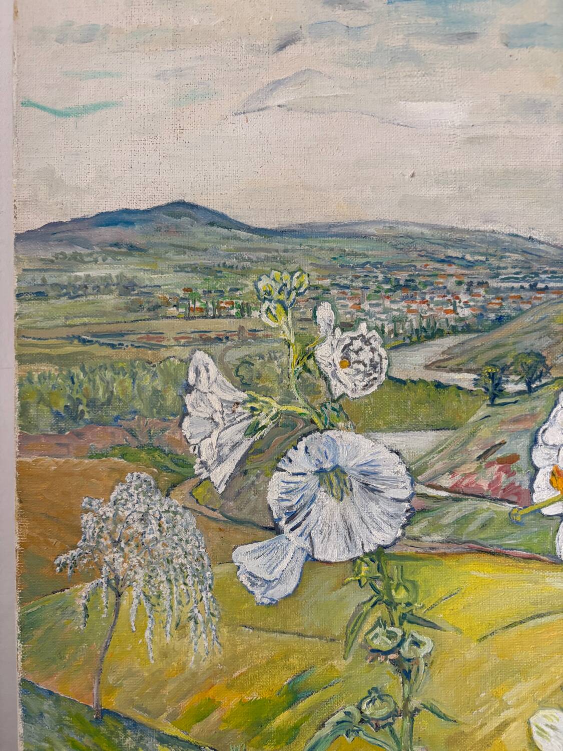 List of tigridias and hollyhocks, signed Maurice Bouillot 1972