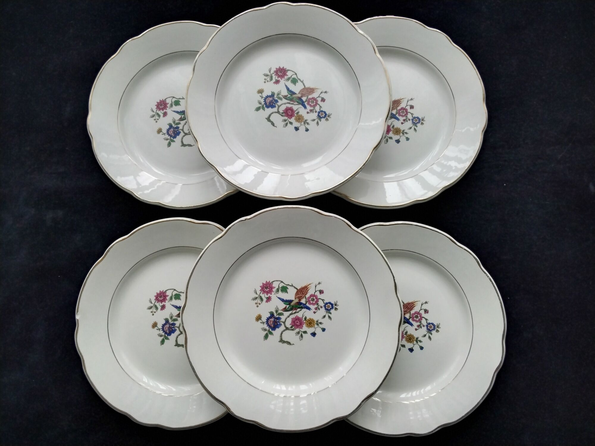 Set of 6 faience dessert plates digoin sarreguemines bird of paradise