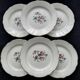 Set of 6 faience dessert plates digoin sarreguemines bird of paradise