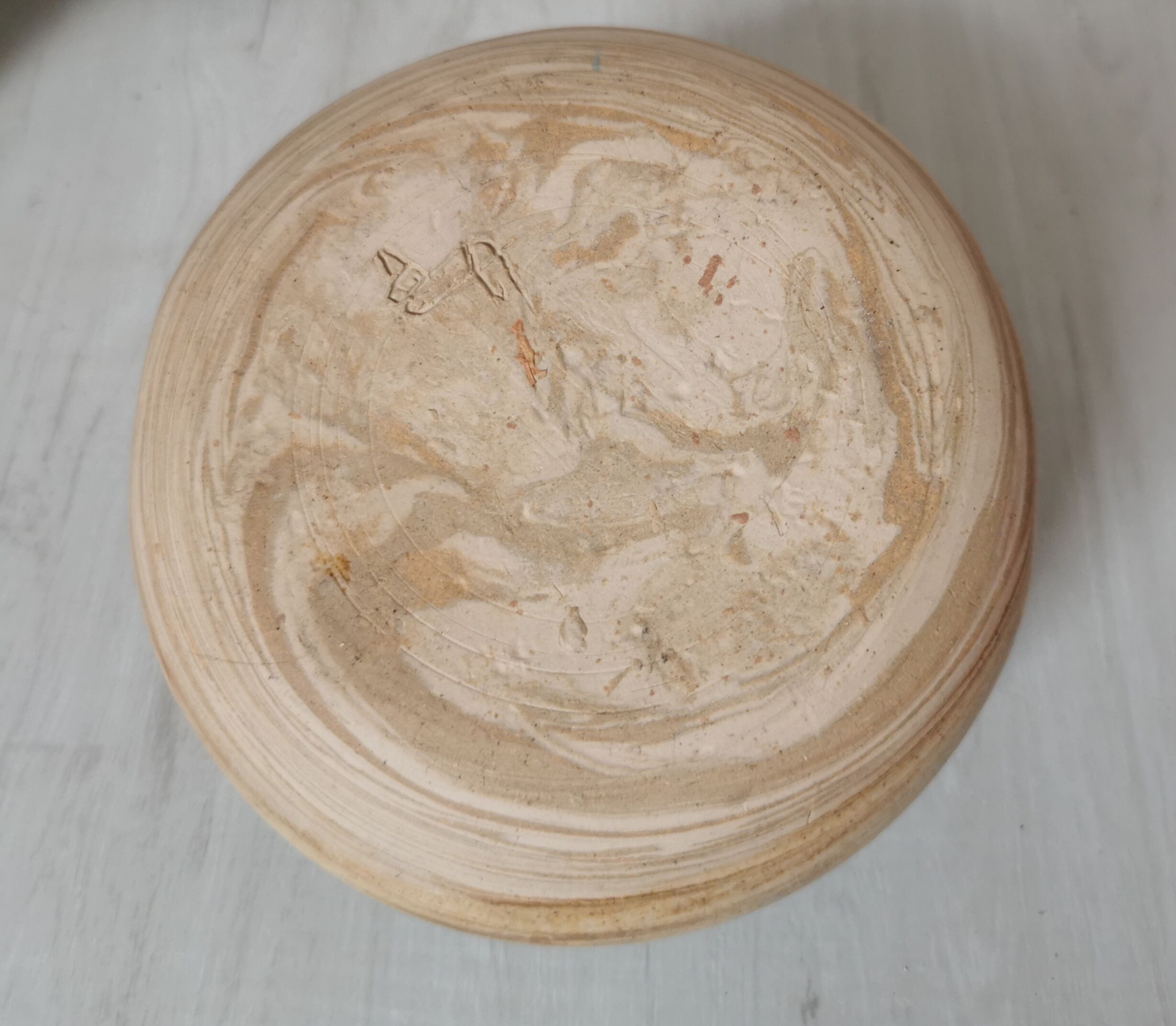 Pique flowers sandstone lizard