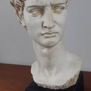 Large vintage bust "David" by Michelangelo