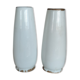 Porcelain vases