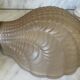 Pair of shell wall lights in frosted glass in Art Deco style.