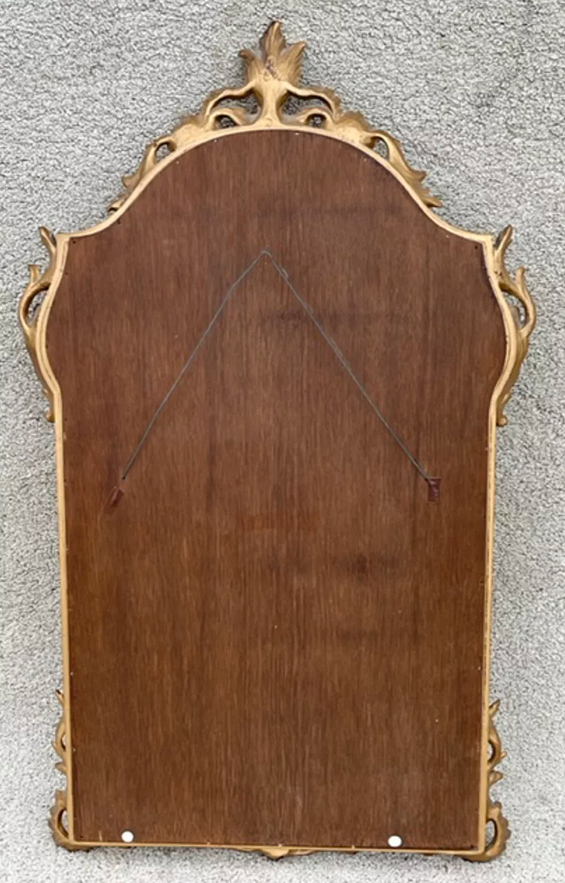 Miroir à parecloses 104x62 cm