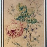 Pair of watercolors "Studies of roses" XIX°