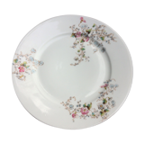 Porcelain plates from Limoges