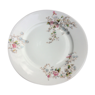 Porcelain plates from Limoges