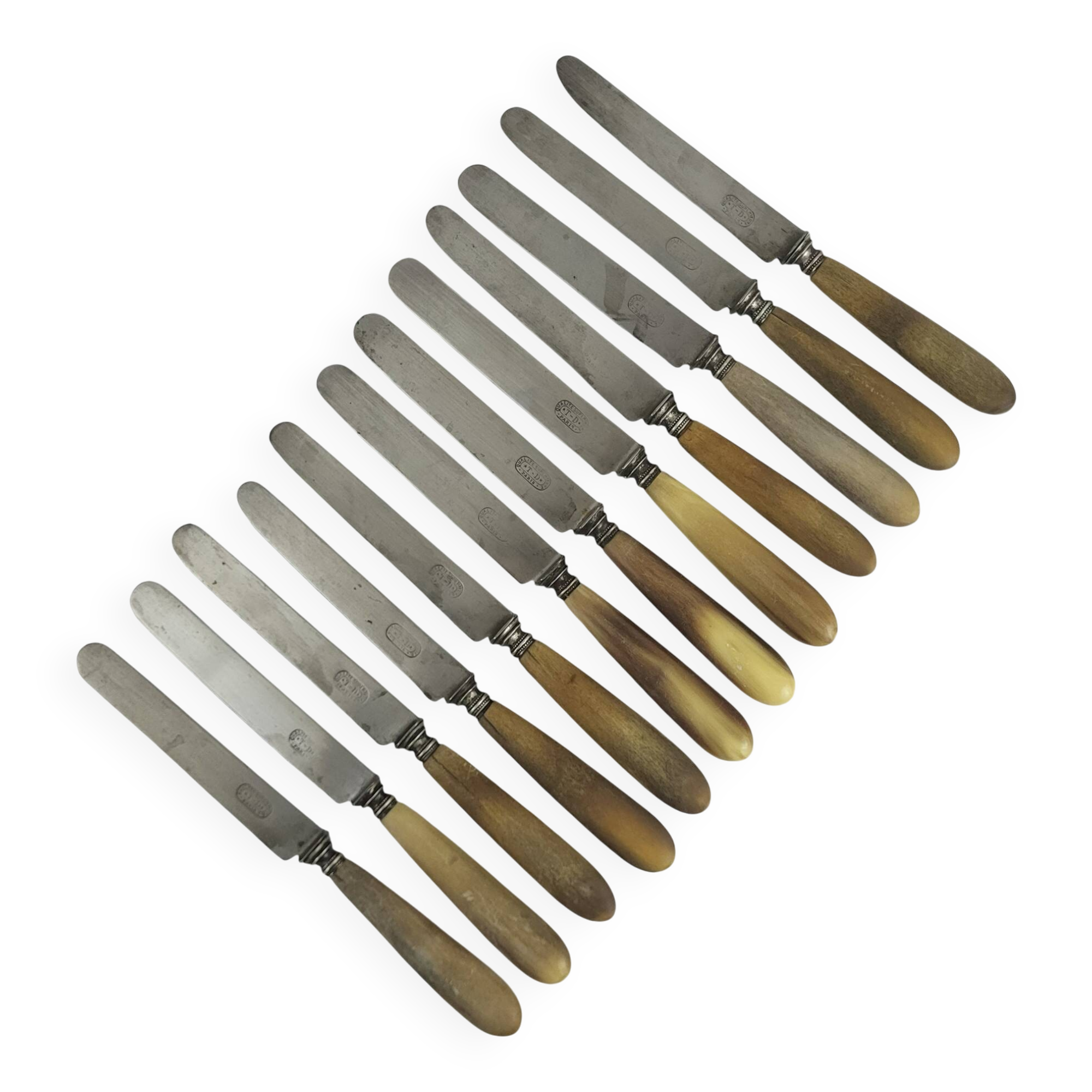 11 cheese/dessert knives with horn and steel handles, T-D Paris