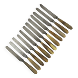 11 cheese/dessert knives with horn and steel handles, T-D Paris