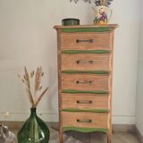 Chiffonnier vert herbarium et bois brut