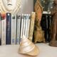 Petit coquillage : Trochus