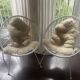 Set of 2 Armchairs + Glass Top Table
