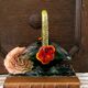 Green Murano glass basket/trinket dish