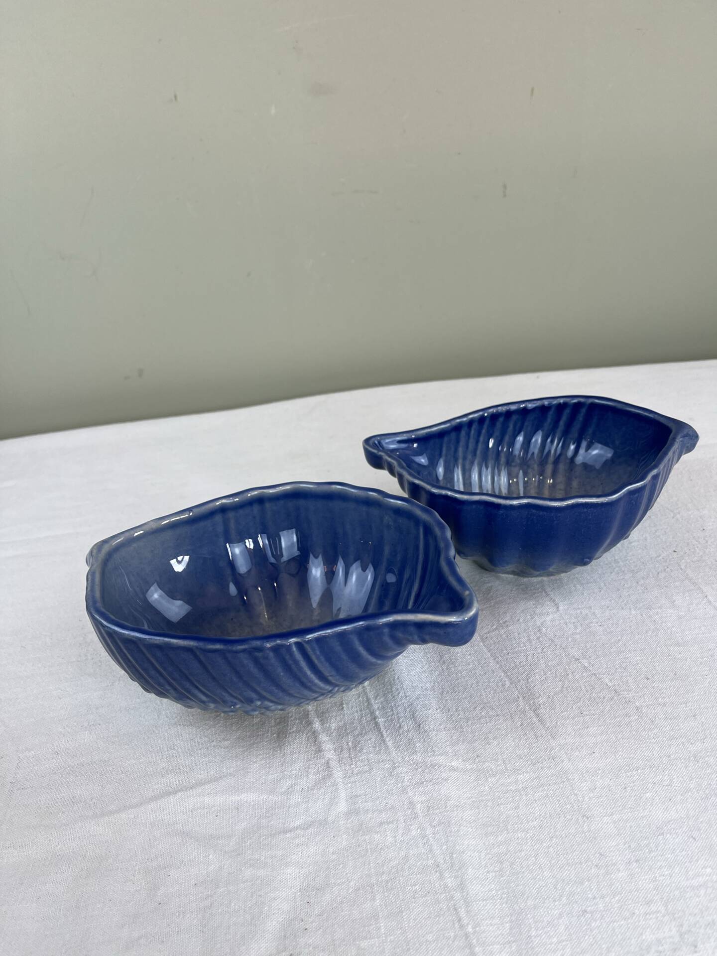 Set of shell bowls