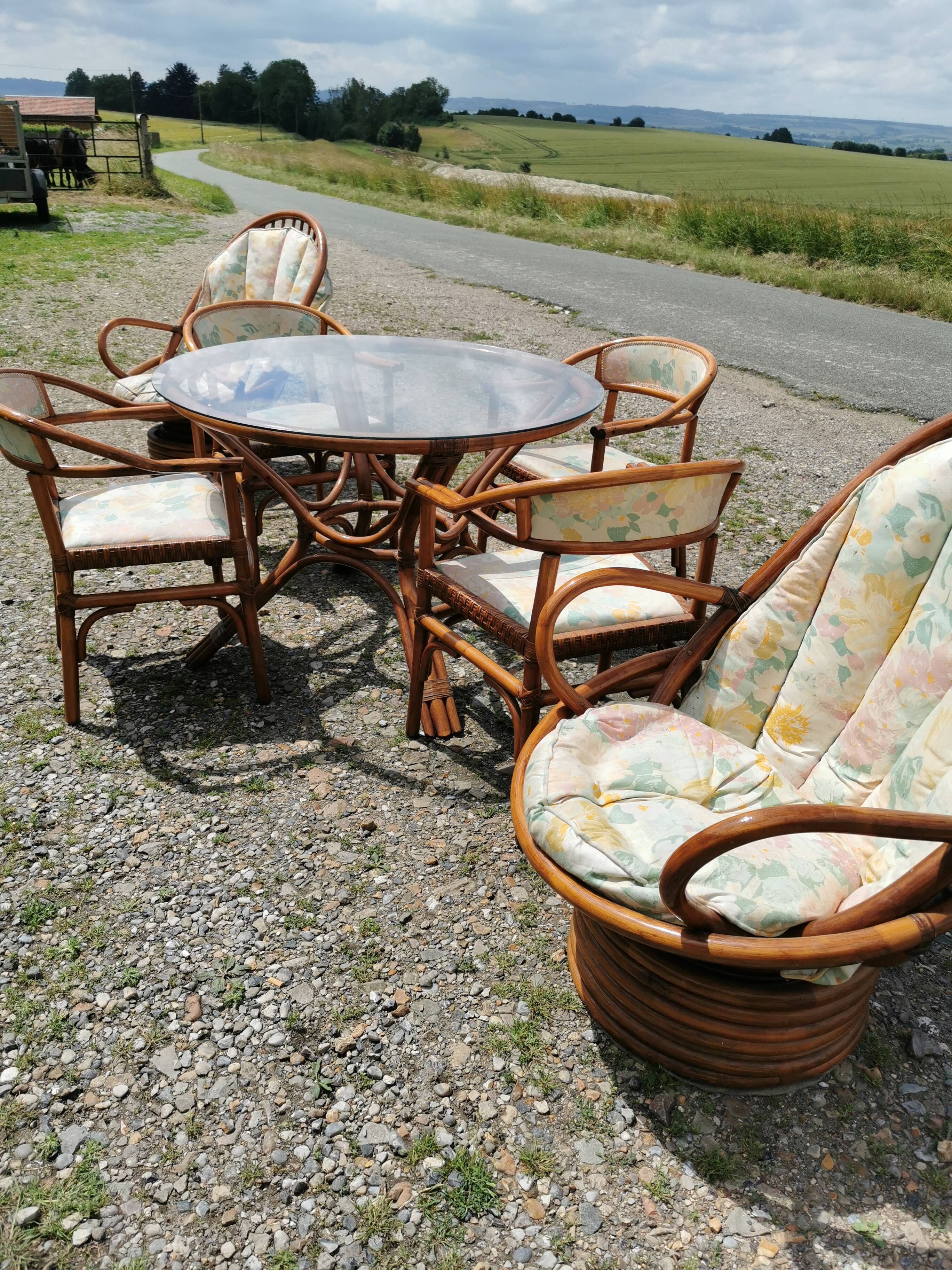 Rattan garden furniture, table, chairs and armchairs