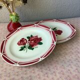 Plates Digoin Cibon Ironstone floral decoration